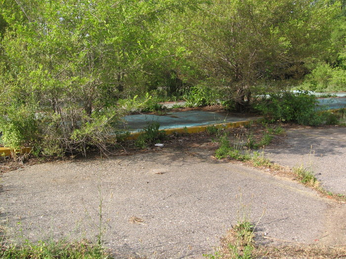 Wallis Drive-In - Wallis North - 5414 N Saginaw
